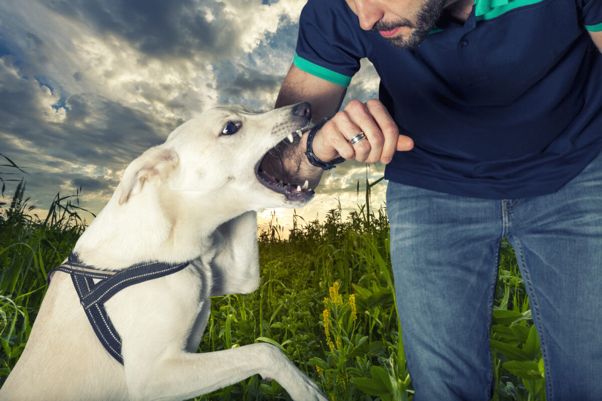 The statute of limitations for dog bite cases in Kuna, Idaho
